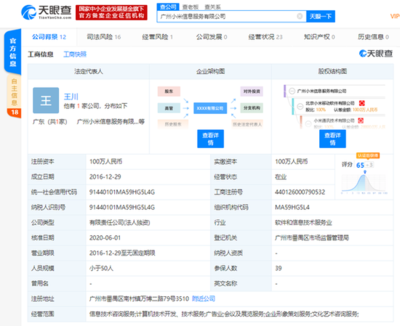 洪鋒卸任廣州小米信息服務(wù)法人等職位，信息技術(shù)咨詢服務(wù)業(yè)務(wù)調(diào)整引關(guān)注
