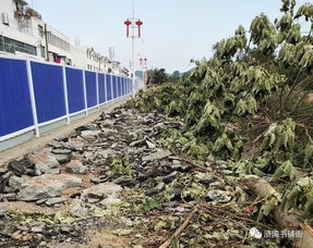 滸灣“一水兩岸”景觀工程正式啟動勘察，打造濱水生態新地標